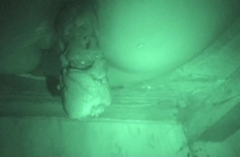 Женщины какают в деревянном туалете